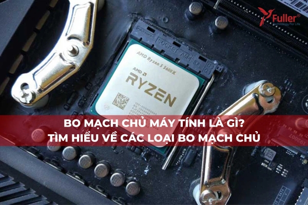Bo Mạch Chủ Máy Tính Là Gì? Tìm Hiểu Về Các Loại Bo Mạch Chủ