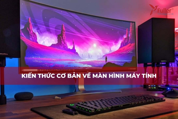 Kiến Thức Cơ Bản Về Màn Hình Máy Tính