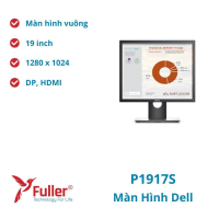 Màn Hình Dell P1917S
